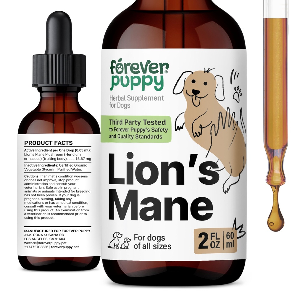 Forever Puppy Lions Mane Mushroom Supplement for Dogs - Brain & Focus Support - Liquid Lion's Mane Mushroom for Dogs - Canine Vitamins and Supplements - Sugar & Alcohol-Free Drops - 2 fl oz
