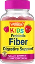 WellYeah Prebiotic Fiber Gummies for Kids - Digestive System Support, Doctor Recommended - Vegan Friendly and Gluten-Free, GMO Free - Yummy Berry Flavors - 60 Count