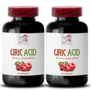 úric Acid Crystals Joints - URIC Acid - uric Acid Management, Suplementos para Ácido úrico, Vías Naturales a Ácido úrico Bajo, Extracto de Arándano, Suplemento de Arándano para Hombres, Extracto de Cereza Tart 2Bot
