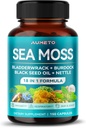Premium Sea Moss Suplemento con Black Seed Oil, Ashwagandha, Bladderwrack, Nettle- Advanced 18-in-1 Formula for Immunity Boosting, Mineral-Rich - Made in The USA (150 Conde (Pack of 1))