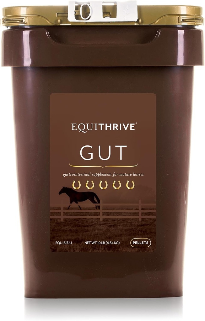Equitrive Horse Gut Pellets con Probióticos, Psyllium Husk Powder, Sodium Bicarbonato y Omega 3 ácidos grasos, Apoyo Digestivo Suplemento para Caballos, 10 libras
