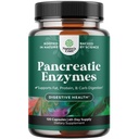 Naturalezas Artesanía Pancreatina Enzimas digestivas para la salud digestiva - Enzimas pancreáticas para humanos con carbohidratos gordos y mujeres y hombres proteínas - Protease Amylase " Lipase Digestión -120ct