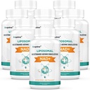 Orgabay Liposomal NAD+ Supplement 500 mg, High Absorption, Boost NAD+ with TMG 250 mg, Actual NAD Plus More Efficient Than Nicotinamide Riboside, Support Cellular Energy, Healthy Aging | 480 Softgels