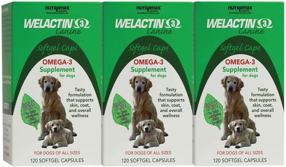 Nutramax Welactin Omega-3 Fish Oil Skin and Coat Health Supplement Liquid for Dogs - 3 Pack, 360 Total Softgels