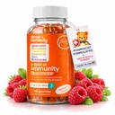 A Dose of Kids Immunity Support Gummies - Daily Immune Booster Supplement Quercetin Gummies for Children with Vitamin B Complex, Vitamina C, Zinc, Vitamina D, Quercetin Bromelain, Echinacea - 60 Count