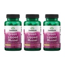 Swanson Green Lipped Mussel (Freeze-Dried) - New Zealand Joint Health & Mobility Supplement - Natural Formula May Support Heart Health & Digestive Function - (60 Capsules, 500 mg cada uno) (3 Pack)