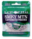 SMOKEY MOUNTAIN Caffeinated Pouches - Wintergreen - Tobacco Free and Nicotine Free - 15 Pouches Per Pack - 10 Packs