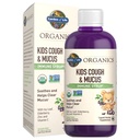 Jardín de la vida Orgánicas Elderberry &amp; Zinc para el soporte de inmunológico infantil, Tos infantil &amp; jarabe de mucosa con hoja de hielo, vitamina C y equinácea para niños, sin alcohol, sin azúcares adicionales, 3.92 fl oz