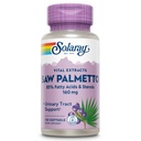 SOLARAY Saw Palmetto Extract - Salud de la próstata y apoyo al tracto urinario - 136 mg ácidos grasos y esteroles - Garantía de devolución de dinero de 60 días (120 piezas, 120 Softgels)
