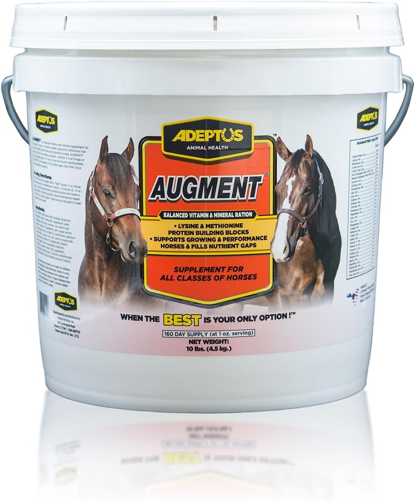 Adeptus Nutrition Augment Vitamina &amp; Mineral Balancer, Horse Nutrition Enhancing Suplemento con Biotina, Aminoácidos, Minerales