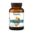 Himalaya Boswellia Extract Capsules, Boswellia Serrata, Boswellia Supplement, Joint Support for Mobility and Flexibility, Frankincense Supplement, Promotes Tissue Preservation, 250 mg, 60 Capsules