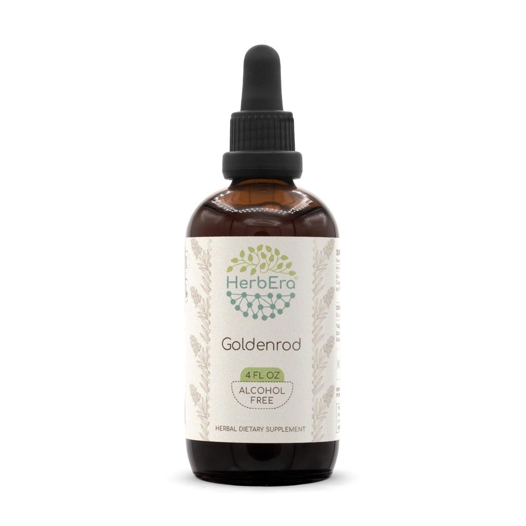 HerbEra Goldenrod B120 Alcohol-Free Herbal Extract Tincture, Super-Concentrated Goldenrod (Solidago spp.) Dried Herb (4 fl oz)