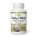HerbalFactors por Factores Naturales, Ginkgo Biloba, soporta memoria, rendimiento mental y función cerebral saludable, 60 cápsulas (60 porciones)