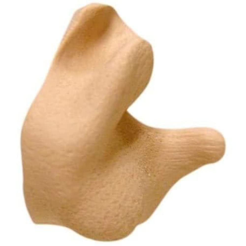 Radians Custom Molded Earplugs