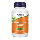 AHORA Suplementos de alimentos, Hawthorn Berry 540 mg, Scavenger Radical Libre*, Suplemento Herbal, 100 cápsulas Veg