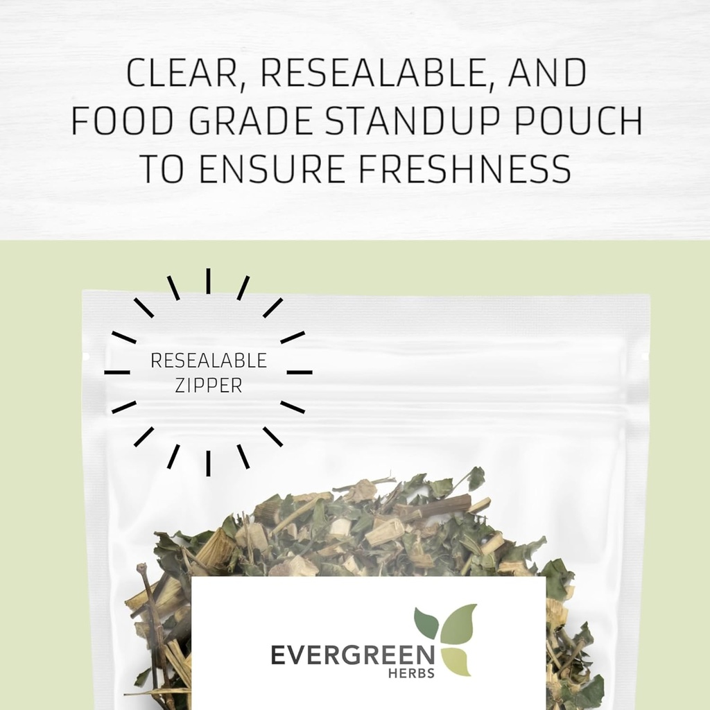 Herbs Evergreen Cuachalalate Herb (Amphipetyglum Adstringens) - Resealable Stand Up Pouch para garantizar la frescura! (Tasas de té)