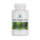 Lab Saw Palmetto 450mg - 90 Capsules