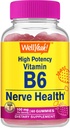 WellSi High Potency Vitamin B6 Gummies - Promueve la Salud, Función Cognitiva, Regulación de Mood, Apoyo Inmunitario y Salud Cardiovascular - Vegan, No GMO, Libre de gluten - 60 Condes