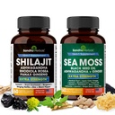 Shilajit Sea Moss Ashwagandha Combo Bundle - Black Seed Oil, Turmeric, Rhodiola Rosea, Panax, Ginseng Supplement | 120 Capsules, Better Than Gummies, Resin | Seamoss for Men & Women