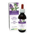 Naturalma Alfalfa o Lucerna (Medicago Sativa) hierba con Flores Tintura libre de alcohol - Rico en clorofil natural - 4 fl oz Extracto líquido en gotas - Suplemento herbal - Vegan