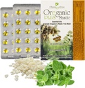 Oreganic Plus Mastic - Oregano Esencial Capsules de aceite & Chios Mastic Gum Oil - Oregano salvaje Capsules de aceite orgánico - Immune Booster y Apoyo Intestinal - Non-GMO - 30 Conde Blister