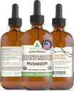 RawGuru Lion's Mane Mushroom Tincture - Vegan Lion's Mane Extract with Trace Minerals - Nano-Processed Immunity Boost & Cognitive Supplement - 120 Servings of Vegan Drops per 120 ml, Pack of 1