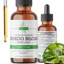 Ginkgo Biloba Extracto líquido 2 Fl Oz, Suplementos para Función cerebral y soporte de memoria, Alcohol Gratis, Vegan - 2 Fl Oz