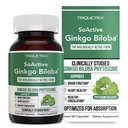AsiActive Ginkgo Biloba con GinkgoSelect® Phytosome ← Absorción mejorada clínicamente estudiada para el cerebro, el corazón y el soporte de memoria – 180 mg – Ayuda a mantener la circulación " Salud cognitiva (60 cápsulas)