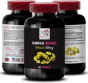 Ginkgo biloba Suplemento - Ginkgo BILOBA Extract - Extracto antioxidante natural, Herbal antioxidant Support, Ginkgo biloba Ventajas, Suplemento de Extracto Botánico, Antioxidante basado en plantas 1 Bot 60 Caps