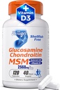 Glucosamine Chondroitin MSM + Vitamina D3 ← Shellfish-Free Joint Support Suplemento de Movilidad, Flexibilidad & Bone Health ← Non-GMO, Gluten-Free, Soy-Free – 7-in-1 Fórmula para Mujeres