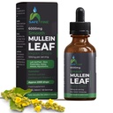 Bombas de Tintura de Mullein Orgánica para la Salud Respiratoria – Soporte de Pulido Natural, Sin Alcohol, Vegan, No GMO, Extracto Herbal, 2 fl oz (60ml) Ayuda Natural del sueño &amp; Apoyo Inmunitario