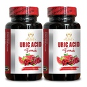 URIC Acid Support - Restaurar Confort Conjunto, Movilidad, Flexibilidad, Incluye cereza de Tart, Chanca Piedra, Extracto Celery " Turmeric - 2 Botellas 120 Capsules