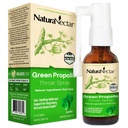 NaturaNectar - Green Propolis Throat Spray - Único, calmante Throat Care Relief with Brazilian Bee Propolis - Natural and Non-Alcoholic Throat Care Formula from Sustainable Beekeeping (1-Pack, 30mL)
