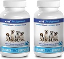 PET SUPPLEMENTS & NUTRITION LLC Dog Incontinence Natural - Dog Urinary Tract Support - Natural Cranberry Solution - Bladder Health - Vet Recommended - Dog Bladder Treats - 2 Bottle (180 Treats)