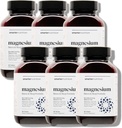 Complejo de Magnesio de Nutrición más inteligente - Licinado de Magnesio + Citrato, Malato para el sueño, Relajación, Muscle &amp; Nerves + Teanina clínica, No GMO-360 Tablet[180-Day Supply]