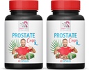 Saw Palmetto Supplement - Prostate Support PILS - Natural Ingredients, Saw Palmetto, Stinging Nettle Leaf, Maitake Mushroom, Reishi, Shiitake, Prostate Support Supplement for Men, 2 Bottles 120 Caps