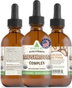 RawGuru Complejo de hongos orgánicos Tintura - Extracto de hongos orgánicos con minerales de rastro - Cognitivo de nino-procesado &amp; Apoyo de inmunes Suplemento - 60 Servimientos de gotas vegas por 60 ml, Pack de 1