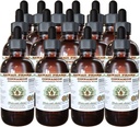 Extracto líquido libre de alcohol de canela, canela (Cinnamomum Verum) Dried Bark Glycerite Hawaii Pharm Natural Herbal Suplemento 15x4 oz