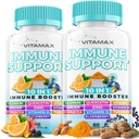 10-in-1 Immune Support with Elderberry, D3, Selenium, Quercetin, Zinc, Vitamin C, Ginger, Turmeric Curcumin, B6, Echinacea – Immune Defense – Made in USA (60 Count (Pack of 2))