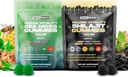 Holistic Hercules Sea Moss & Pure Himalayan Shilajit Gummies Gold | 100% Natural Organic Vegan | No Added Sugar | Ashwagandha Tongkat Ali Ginseng Spirulina Moringa Manuka Honey | 60 Gummies 2 Pack