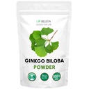 Ginkgo Biloba Powder 8 oz - Suplemento natural puro, Apoyo al cerebro, Alerta mental, Filler Free