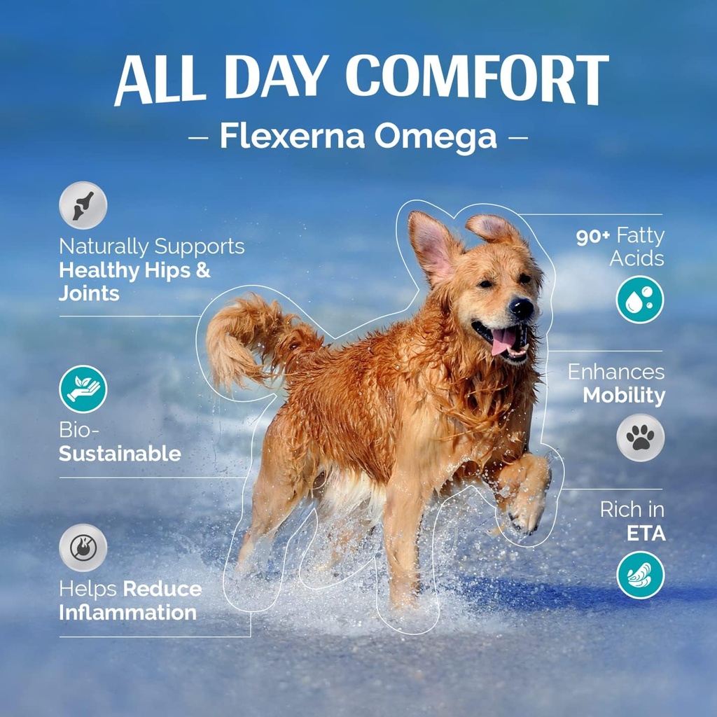 Joint Supplement for Dogs - Rich in Green-Lipped Mussel Extract - Fish Oil - Omega-3 Support - Vet-Formulated Mobility & Comfort - 8 Oz Liquid Pump