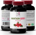 suplemento antioxidante para las mujeres - BERRIES HAWTHORN EXTRACT - suplemento extracto de hawthorn, suplemento de baya, bayas antioxidantes, energía de baya silvestre, píldoras de energía hawthorn para mujer 1 Bot 60 cápsulas