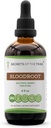 Secretos del Extracto de Tintura de Alcohol Tribe Bloodroot, cultivado responsablemente Bloodroot (Sanguinaria Canadensis) Suplemento de Tintura de raíz seca (4 fl oz)