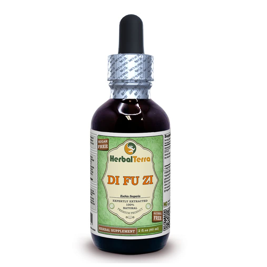 Di Fu Zi, Kochia (Kochia Scoparia) Glycerite, Dried Bark Alcohol-FREE Liquid Extract (Brand name: HerbalTerra, Proudly made in USA) 2 fl.oz (60 ml)