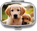 Pill Box 2 Compartment Square Pill Organizer Daily Small Pill Case for Travel Cute Golden Retriever Puppy Metal Pill Container Portable Medicine Organizer for Pill Vitamins Fish Oil Supplement