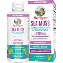 MaryRuth Organics Sea Moss with Spirulina and Chlorella Liposomal TEN Chlorophyll TEN Dandelion Root TEN Superfood TEN Ultra Absorption ANTE Vegan Silencio No-OM Silencio Gluten Free TEN 7.6 fl oz ANTE 15 Servings