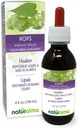 Naturalma Hops (Humulus lupulus) strobilus o Cono (Flores femeninas) Alcohol-Free Tintura - 4 fl oz Líquido Extracto en gotas - Suplemento Herbal - Vegan