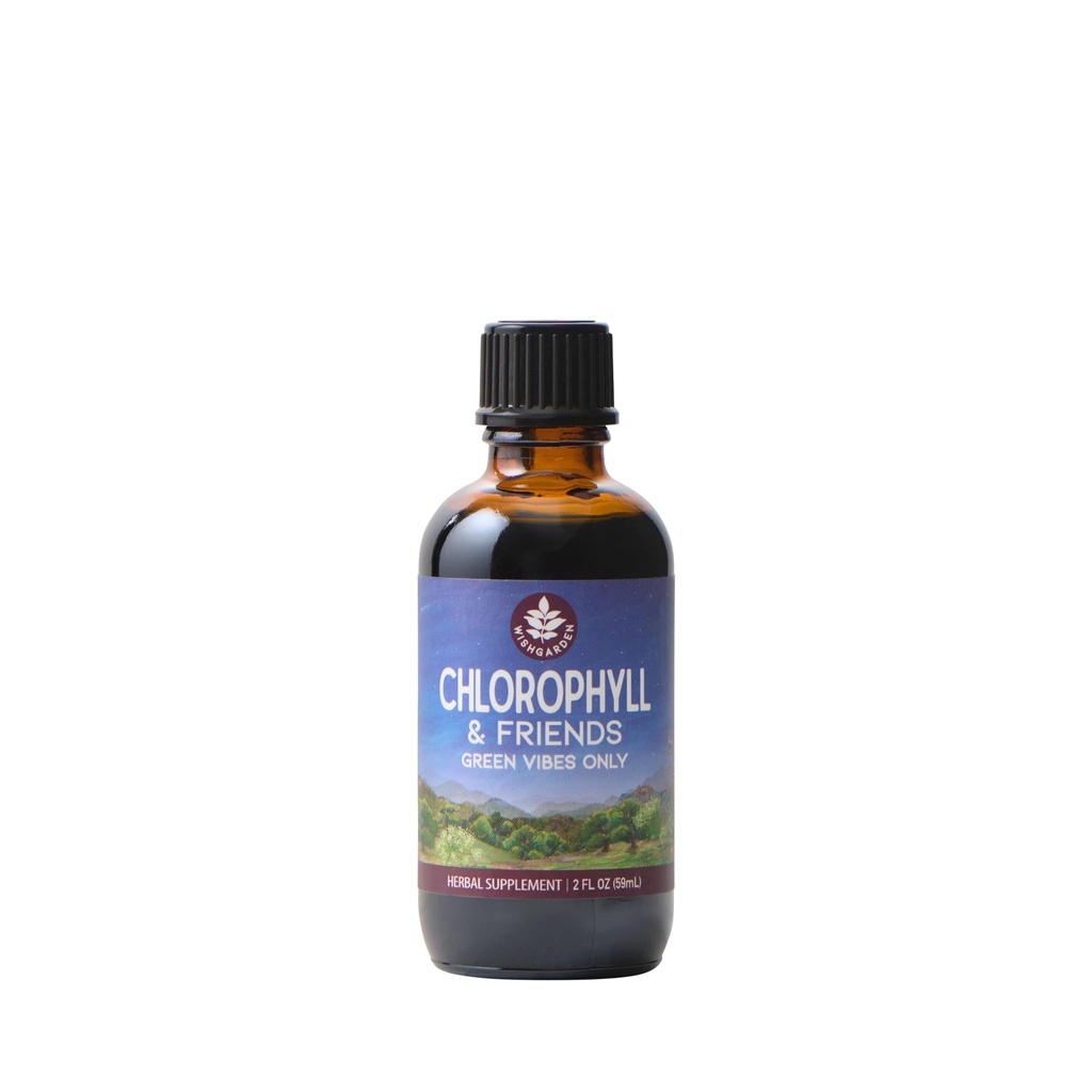 WishGarden Herbs Chlorophyll & Friends - Chlorophyll Liquid Drops with Nettle Leaf, Holy Basil, Moringa Leaf & Peppermint Leaf, Supports Increased Energy, Healthy Immune, & Stress Response, 2oz