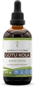 Secrets of the Tribe Gotu Kola Tincture Alcohol Liquid Extract, Gotu Kola (Centella Asiatica) Dried Herb (4 FL OZ)
